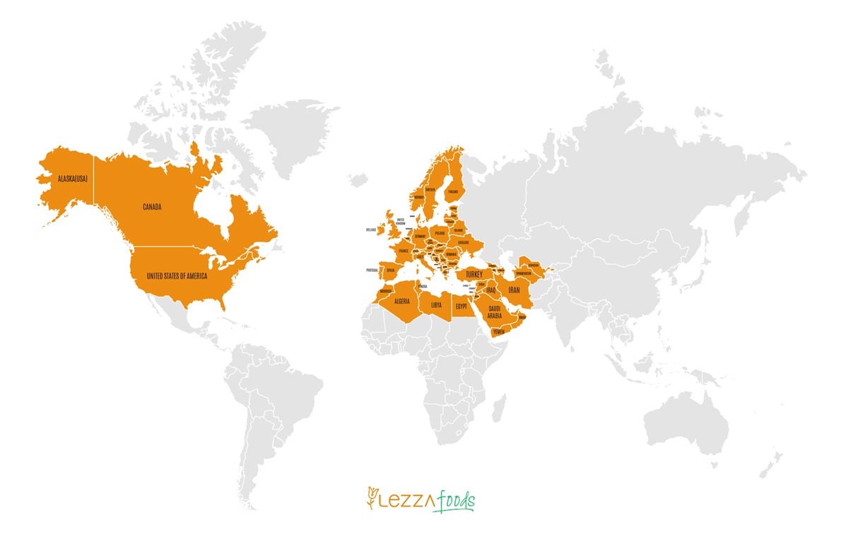 world-map-lezza-about